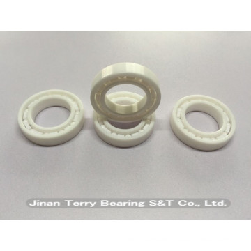 Sealed Plastic Bearing Hybrid Vollkeramiklager